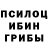 Галлюциногенные грибы Magic Shrooms WOLFyz