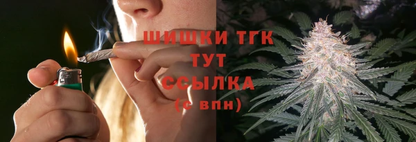 гидропоника Богородицк
