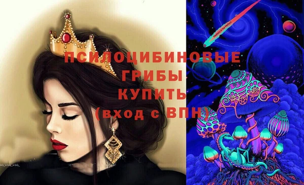 гидропоника Богородицк