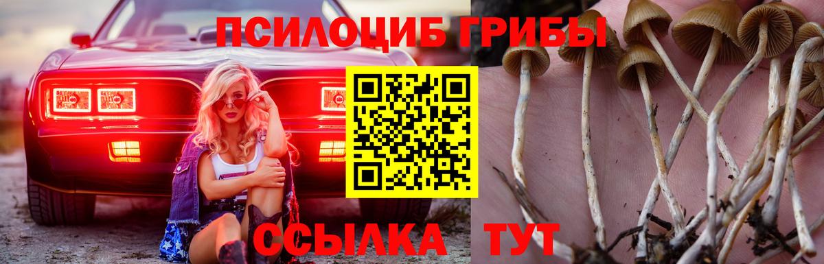 Псилоцибиновые грибы Psilocybine cubensis  Вход с VPN  Псилоцибиновые грибы Cubensis  Малоярославец 